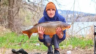 Catching carp on town lake (Austin)