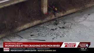 Pennsylvania State Police breakdown efforts to save woman who died after car crashed into Mon River