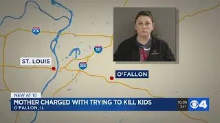 Metro East mother charged with trying to kill herself, 3 children