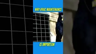 Regular maintenance