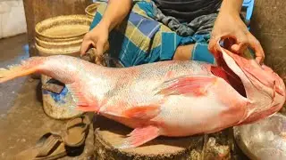 I Never Seen! Amazing Giant Silver Carp Fish Cutting & Cleanning Skills In Fish Market With Huge Egg