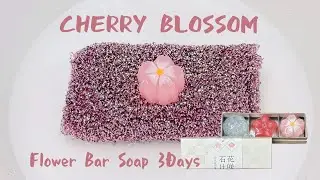 ASMR Sponge 1048.Flower Bar Soap 3Days💐Cherry Blossom