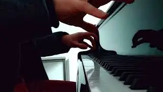 Nicht der Pflicht nur zu genügen (Deutsches Studentenlied) - Biermusikus | Bierorgler