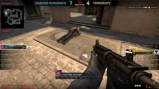 Highlight 4