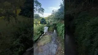 Kakoijana Reserve Forest is #AwesomeAssam  #KakoijanaReserveForest #AssamWildlife #ExploreAssam