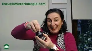 Prosperidad con P&eacute;ndulo Universal