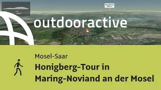 Wanderung in Mosel-Saar: Honigberg-Tour in Maring-Noviand an der Mosel