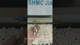Automatic 50-100kg/h Tapioca pearls making machine