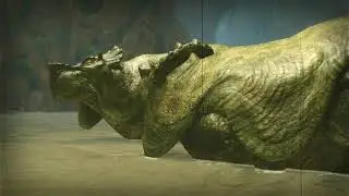 Monster Hunter Rise - Monster Intro - Jyuratodus