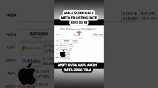 MAG7 $1,000 RACE since FB META listing date 20120518 #mag7 #msft #nvda #aapl #amzn #goog #tsla