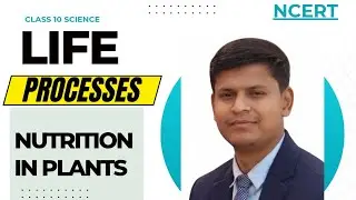 Class 10 Science Chapter &ndash; Life Processes | Nutrition in Plants (Easy Explanation)// NCERT//CONCEPT💯