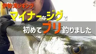 【伊勢湾】マイナーなジグでブリ族　連発