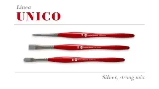 Pennelli Serie UNICO Silver Borciani e Bonazzi