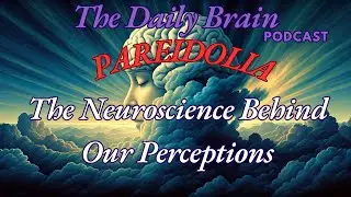The Daily Brain - PAREIDOLIA - Why Your Brain Sees Faces Everywhere