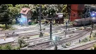 Locomotori diesel FS con merci