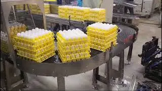 Egg tray depalletizing in Norway with Meggson