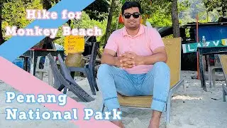 Hiking to Monkey Beach: Stunning Coastal Trail in Penang National Park 🌊🏞️