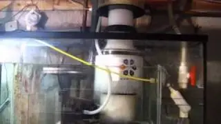 Reef refugium sump with cheato, DSB and Auto top-off