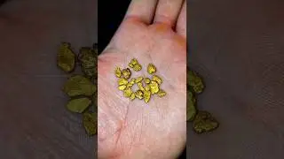 Fast &uuml;berall in Deutschland findet man Gold! 😮😍 #goldwaschen #goldwaschenindeutschland #goldsuchen