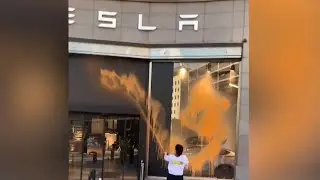 Protesters vandalise Tesla stores in Sweden