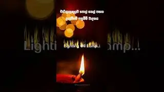 පොල්තෙල් පහන දල්වන උත්සවයේ පසුබිම් වාදනය Traditional Oil lamp lighting Background Music
