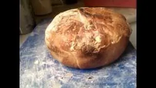 No knead bread - partially full grain - Cutting test