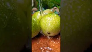 Passion fruit juice 🥝 |CEYLON !