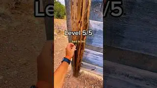 Could YOU find this Level 5?! 🤯 What&rsquo;s the HIGHEST difficulty geocache you&rsquo;ve ever found?! 👀
