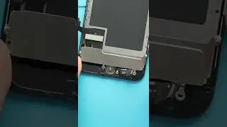 iPhone SE 3 Home Button Not working?