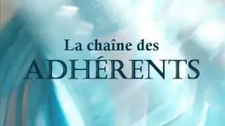 FFDDO Web TV Jingle chaine Adherents