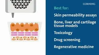 How to Choose 3D Cell Culture Models