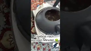 DELPHIN: Tiefenreinigung Elektrob&uuml;rste
