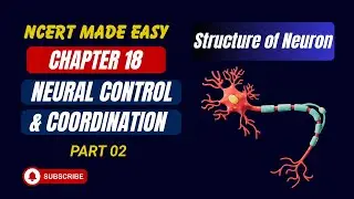 Neural Control and Coordination | Part 02 | Structure of Neuron | NCERT Line by Line Explanation |