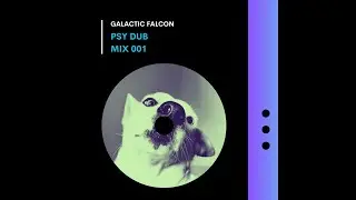 Galactic Falcon - Psy Dub Mix