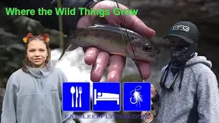 Where the Wild Things Grow
