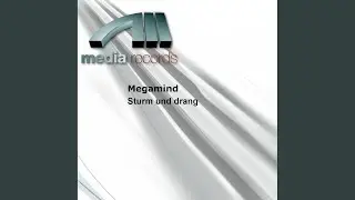 Sturm Und Drang (Picotto Mix)