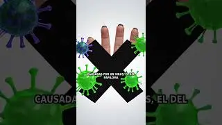 Las verrugas no las causan los sapos, sino el VPH
