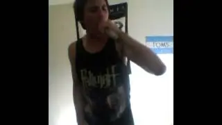 Make them suffer-elegies(vocal cover)