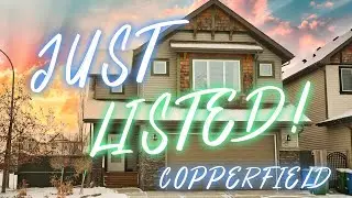 Copperfield | Calgary Homes For Sale