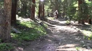 The Colorado Trail - Kenosha Pass / Georgia Pass, 2011