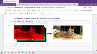 SVD aplicado a una imagen en python