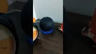 Funny Things to ask Alexa #alexa #funny