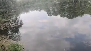 Pond fishing the zoom z craw