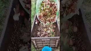 making composting easy to way  - healthy & storage plants growtt 🪴🪴