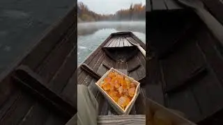 Ноябрь на озере: туманный лес и канифоль как янтарь &mdash; что вы увидите
