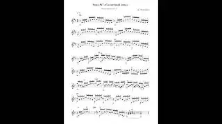 Этюд №7 Д. Петрачков/seven-string guitar