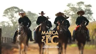 LIVESTOCK IN FOCUS - LC BRAND INSTITUTIONAL