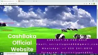 CASHBAKA exit scam, withdrawal update, how to recover your money from the website instantly