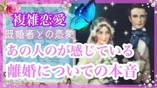 【複雑恋愛】❤️‍🩹離婚する？あの人の離婚についての本音🔮【タロット占い】