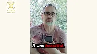 Mushroom Awakening Private Retreats - Testimonial David